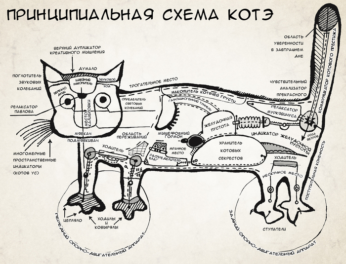 http://koshkidarom.ru/Humor/cat-scheme.jpg