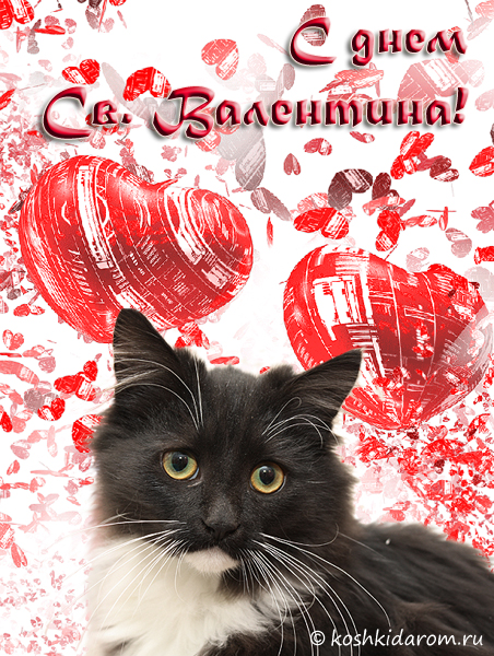 http://koshkidarom.ru/cards/valentine/card08.jpg